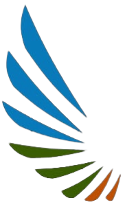 Fynamics Wealth Logo